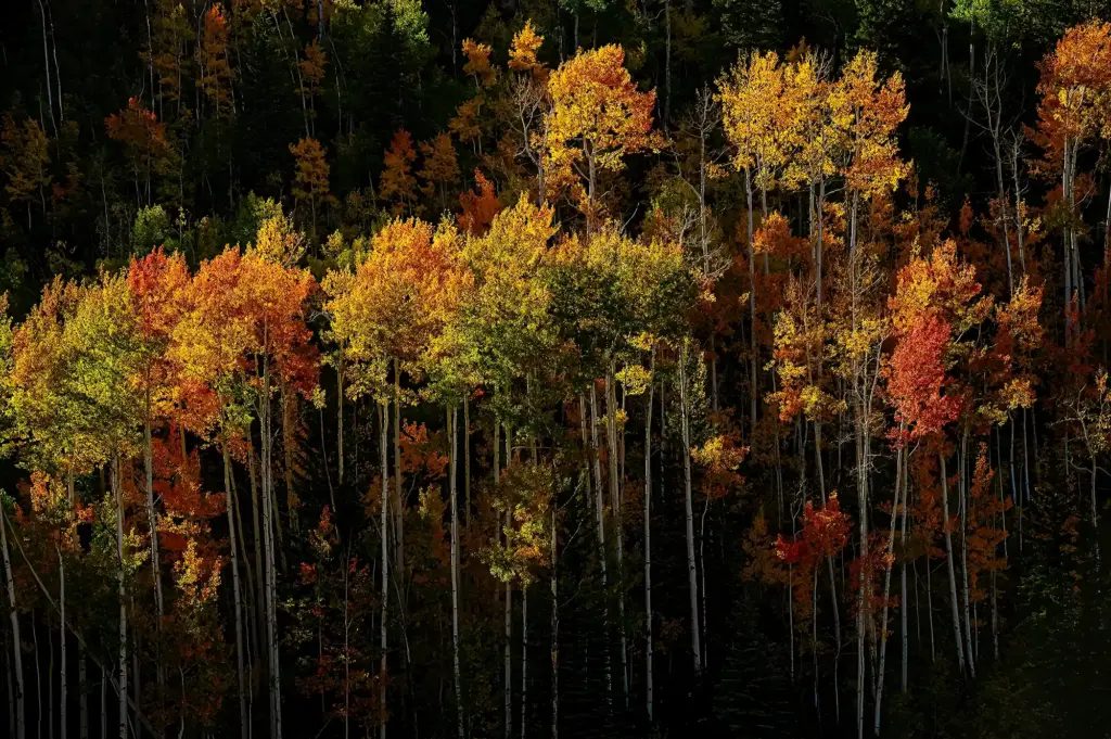 Don Ginnatti photography, fall in the west project photographs by Don Ginnatti