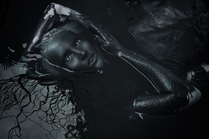 creative photographs - Zim Kilgore