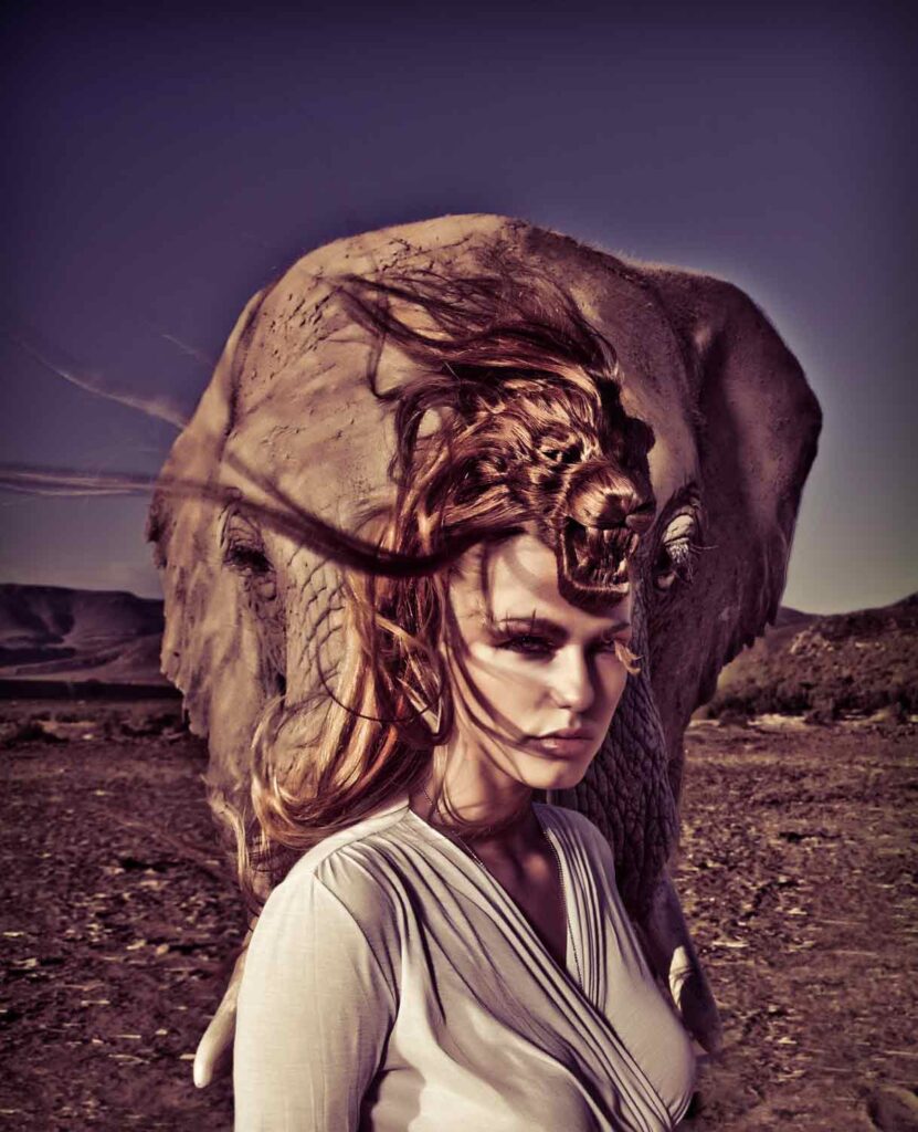 Swimming with Sharks - Shark Series