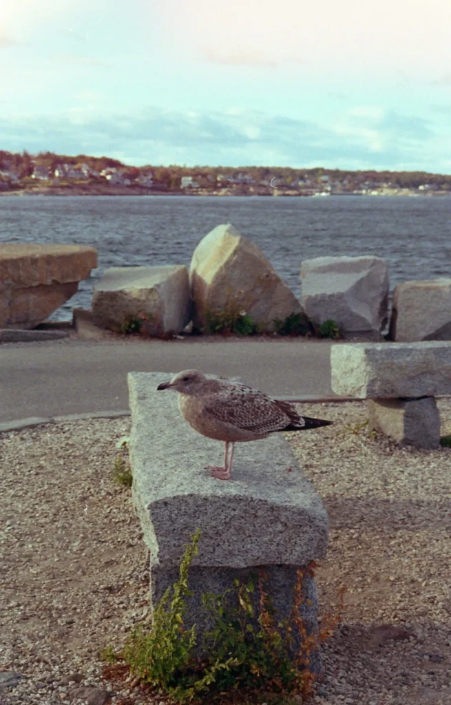 outdoor photography, travel photographs