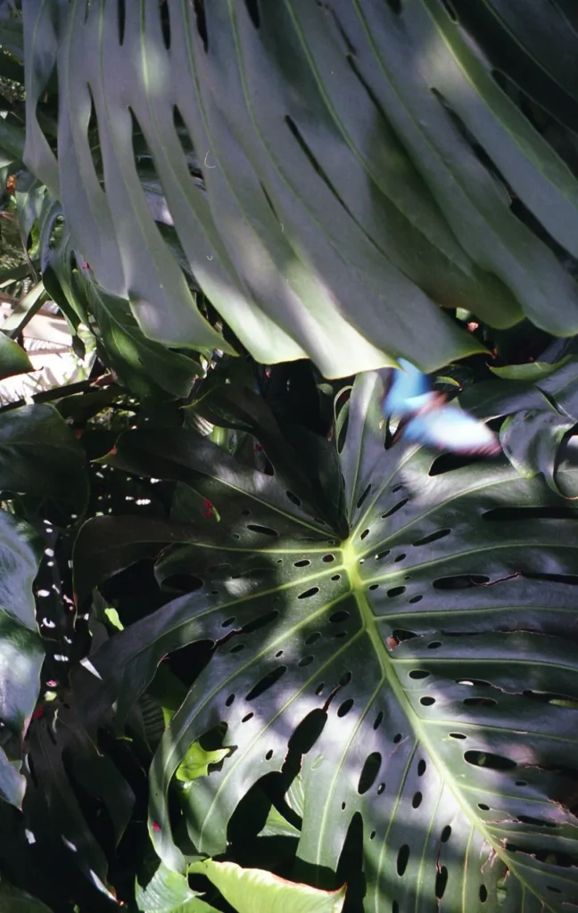 outdoor photography, travel photos , emily porters photographs