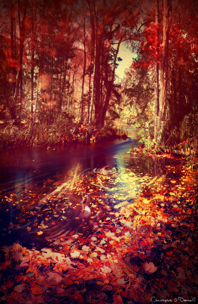 Bokeh Landscapes acadiapark