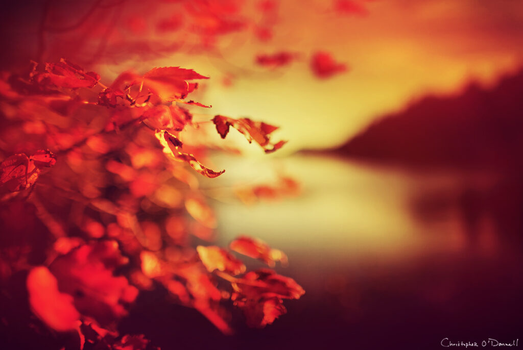 Bokeh Landscapes Christopher O' Donnell