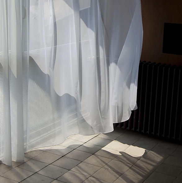 incredibly inspirational professor