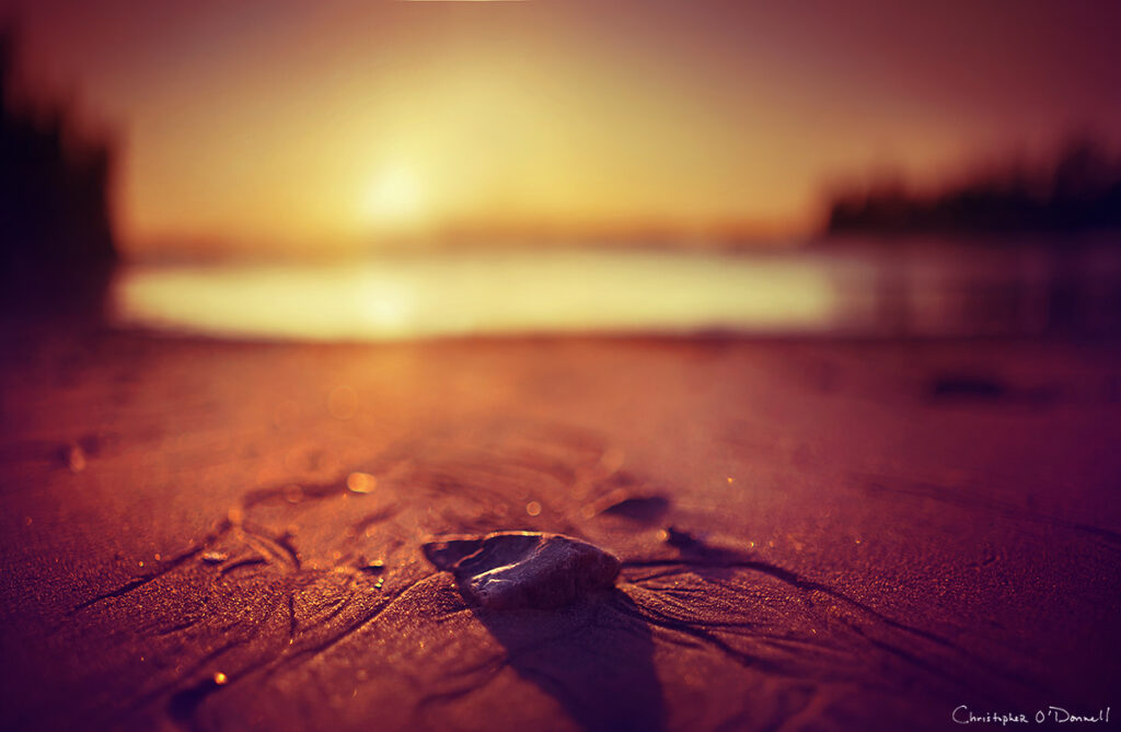 Bokeh Landscapes Sylvester's Cove