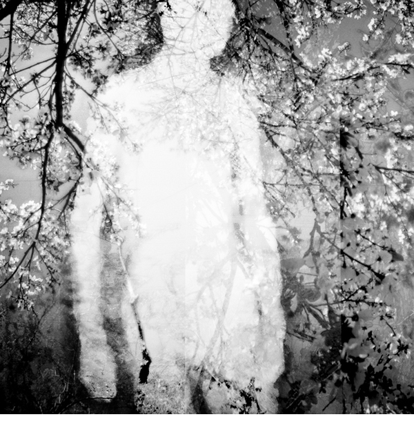 medical imaging machine