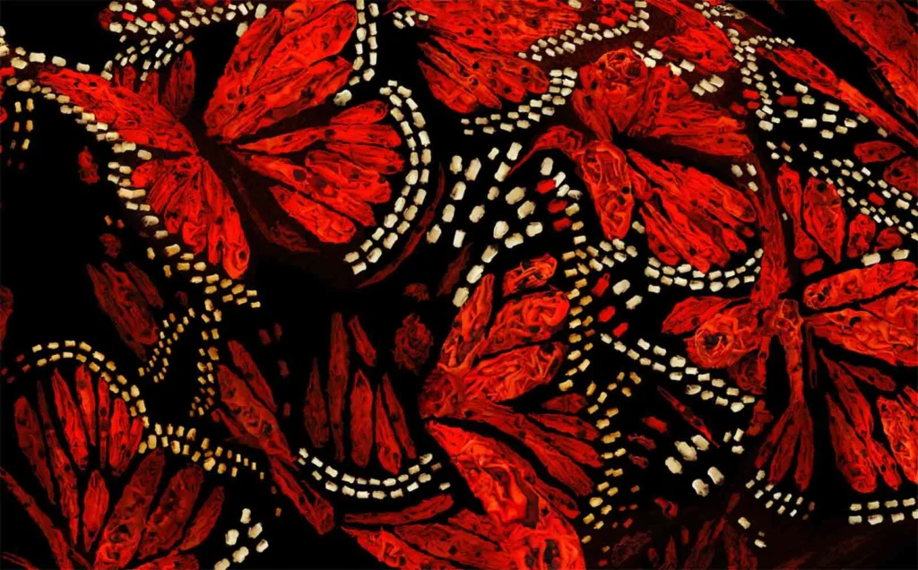 Angelo Musco Interview