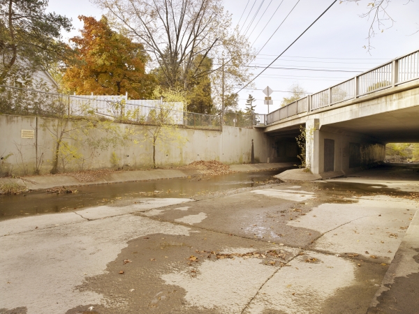 heavily customized and calm landscape