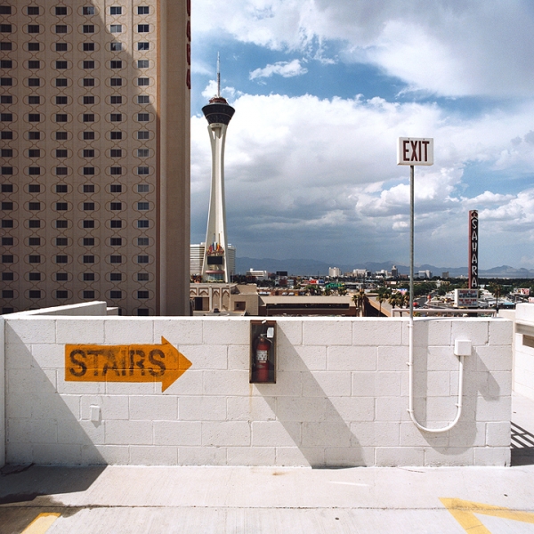 stay sensitive landscape