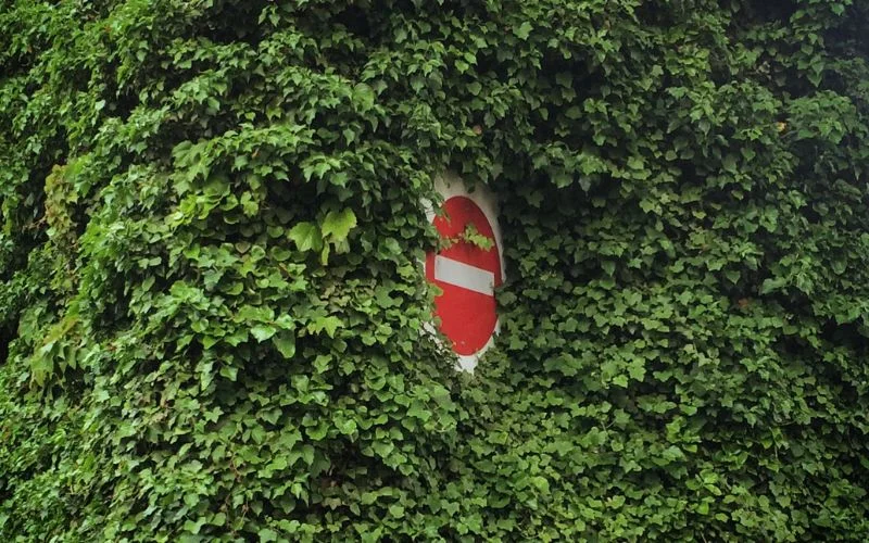 nature and outdoor photography by derek shapton