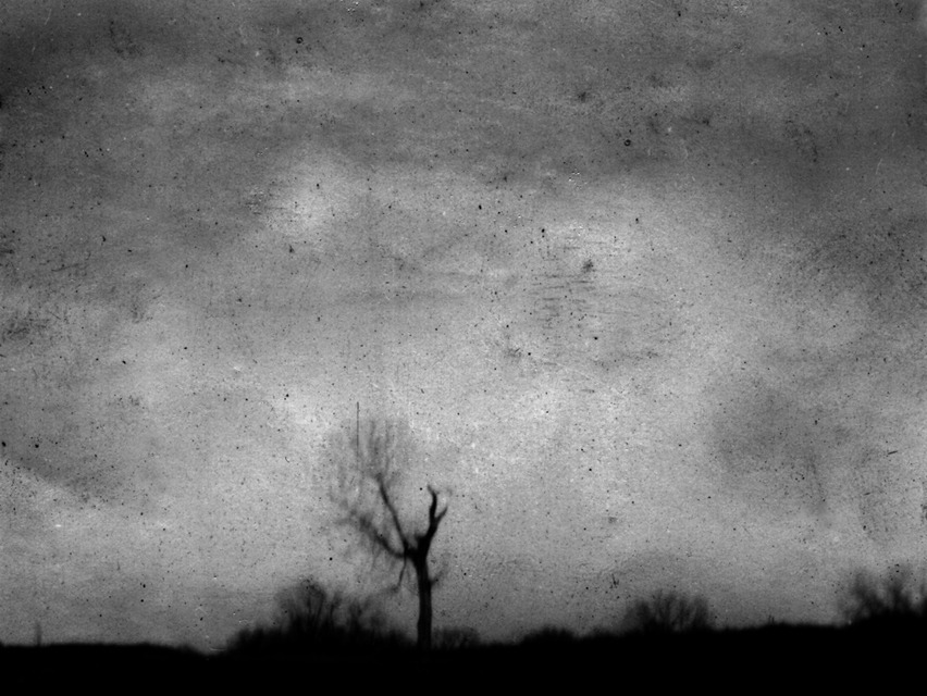 children are essentially