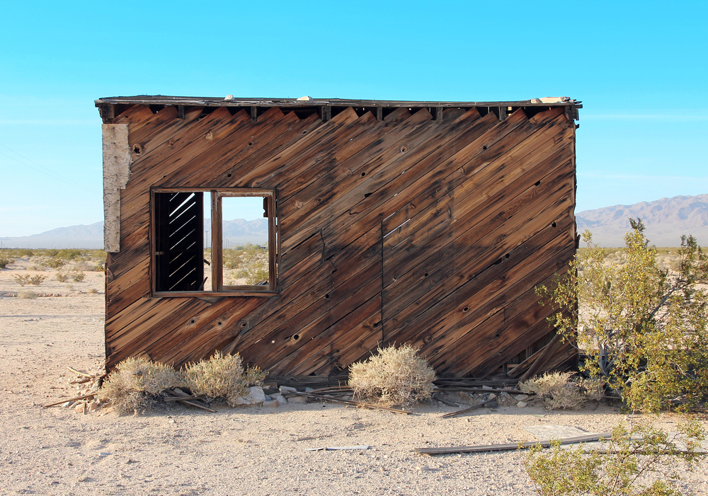 photography reflects a passion