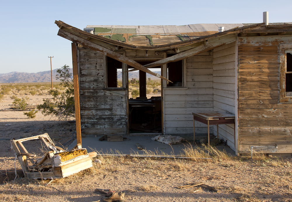 Anastasia is a remarkable artist