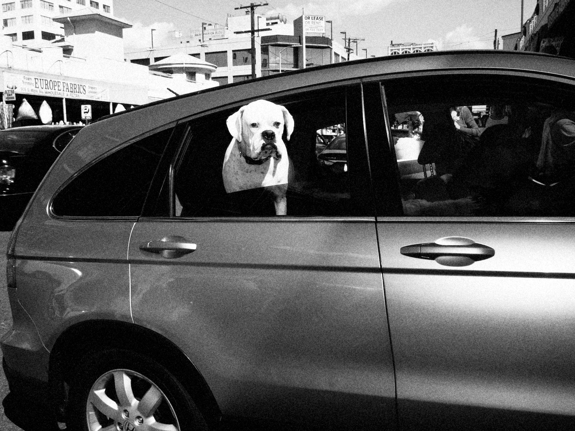 popular neighborhoods