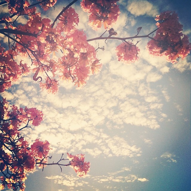 bittersweet and inescapable