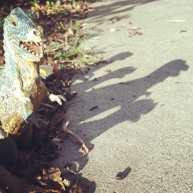 Instagram and an iPhone to Capture the Bittersweet Beauty of Being Alive