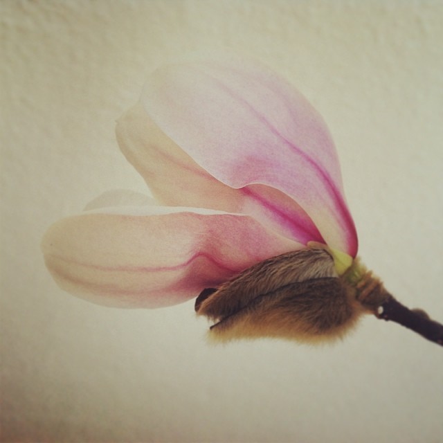 wonder of photography