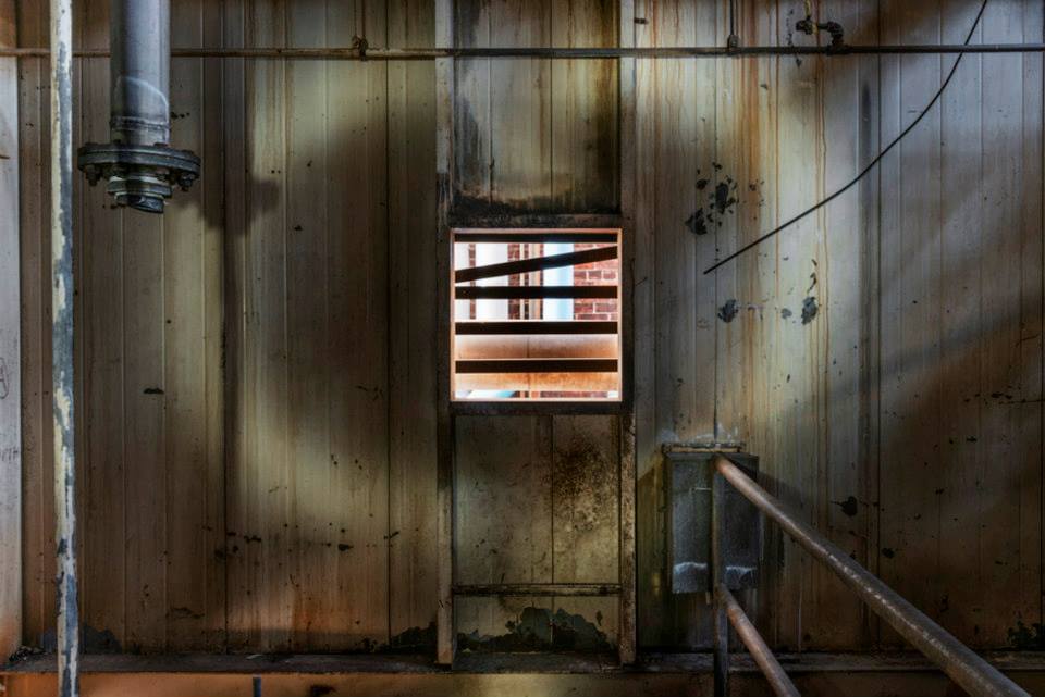 David S Allee - David S Allee homogeneity