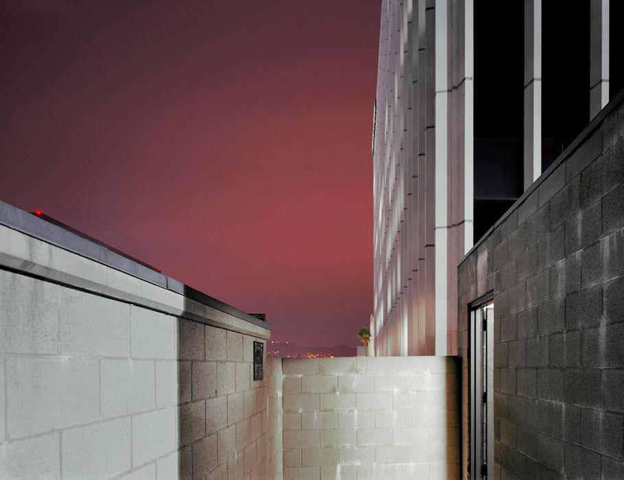 David S Allee - visually aesthetic