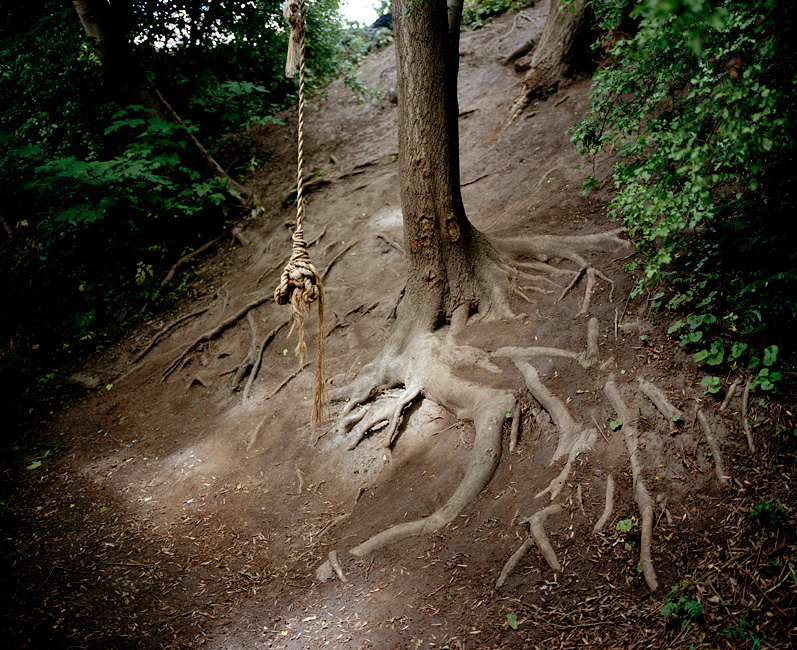 studying print journalism