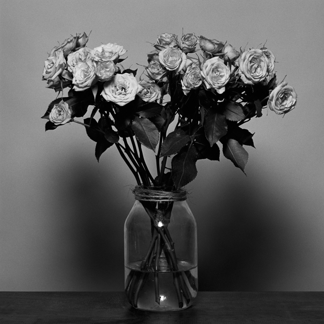 professional portrait photography - flowers on shelf