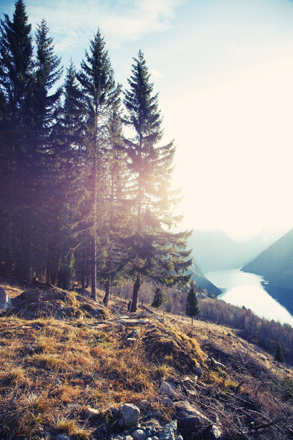 travel photography - mountain facing west for the sunset