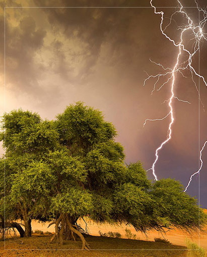 art of photography composition ebook