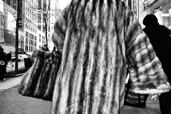 black and white image of jacket