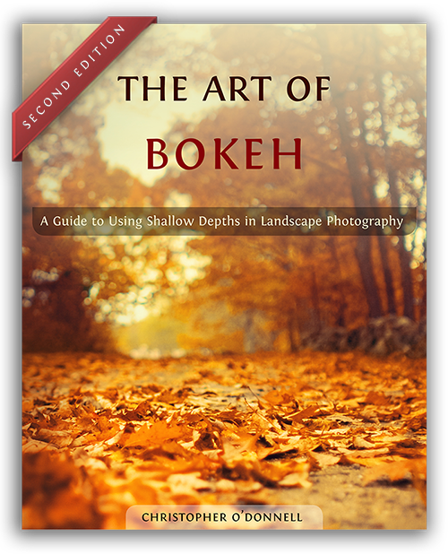 Beautiful Bokeh Photography