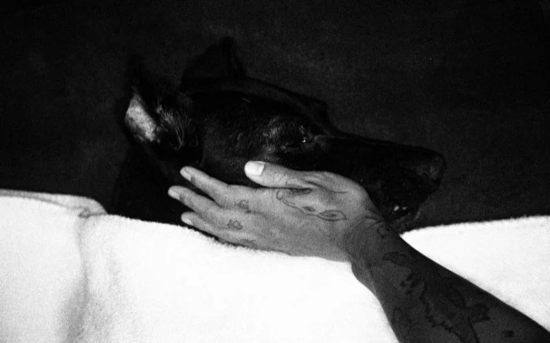 creative sensual portrait photography