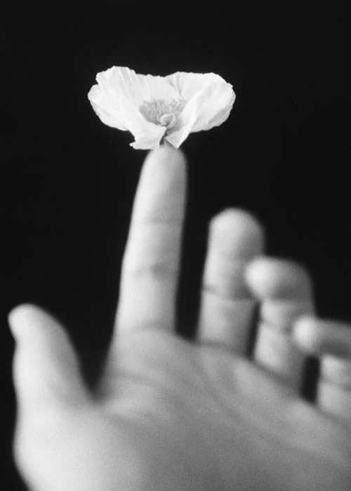 sensual art photography