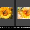 photoshop landscape 2-o