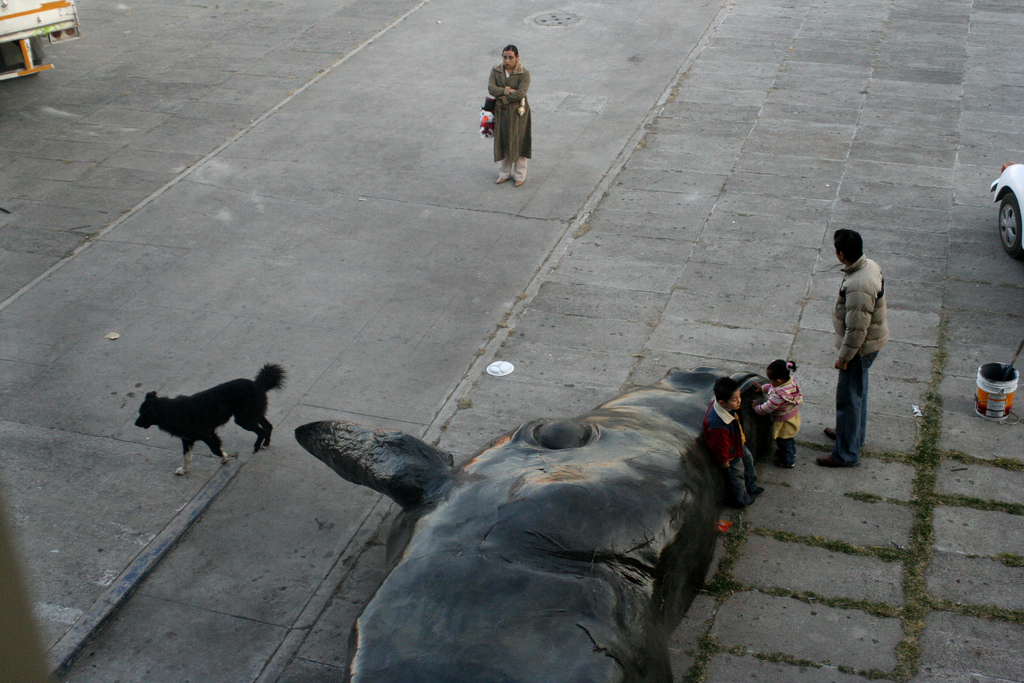 great street photographers - arrived in Mexico City