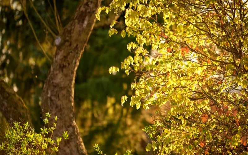 landscape photography, landscape and nature photography, landscape wildlife photography