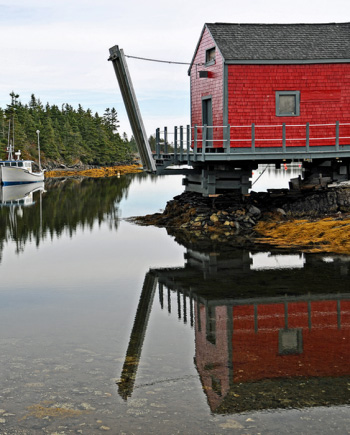 after effects plugin