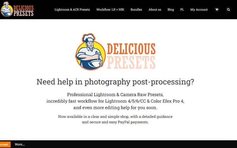 delicious presets - photo editing plugins