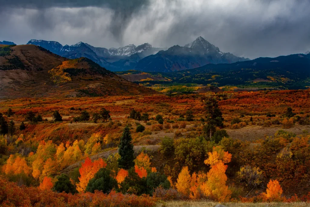 nature photography, charlie borland photography