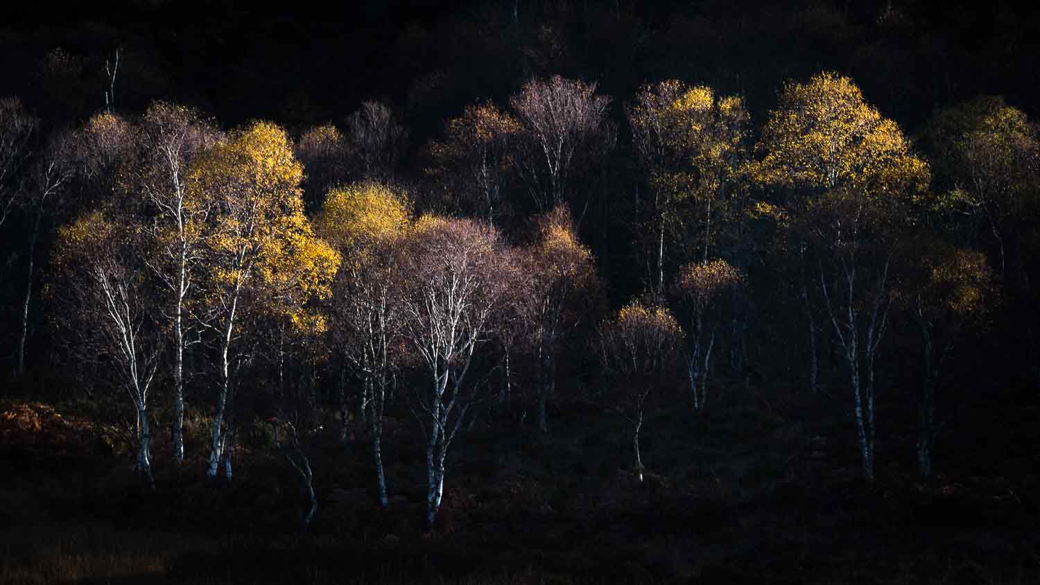 professional landscape photographer