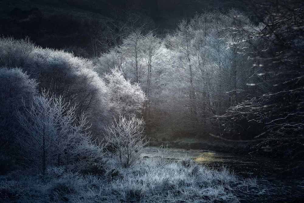 professional landscape photographer