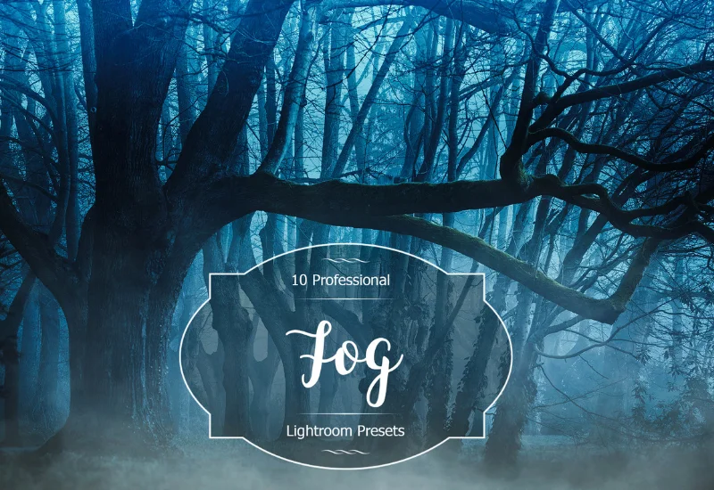 creepy fog overlays, horror lightroom presets, halloween special effects for photos