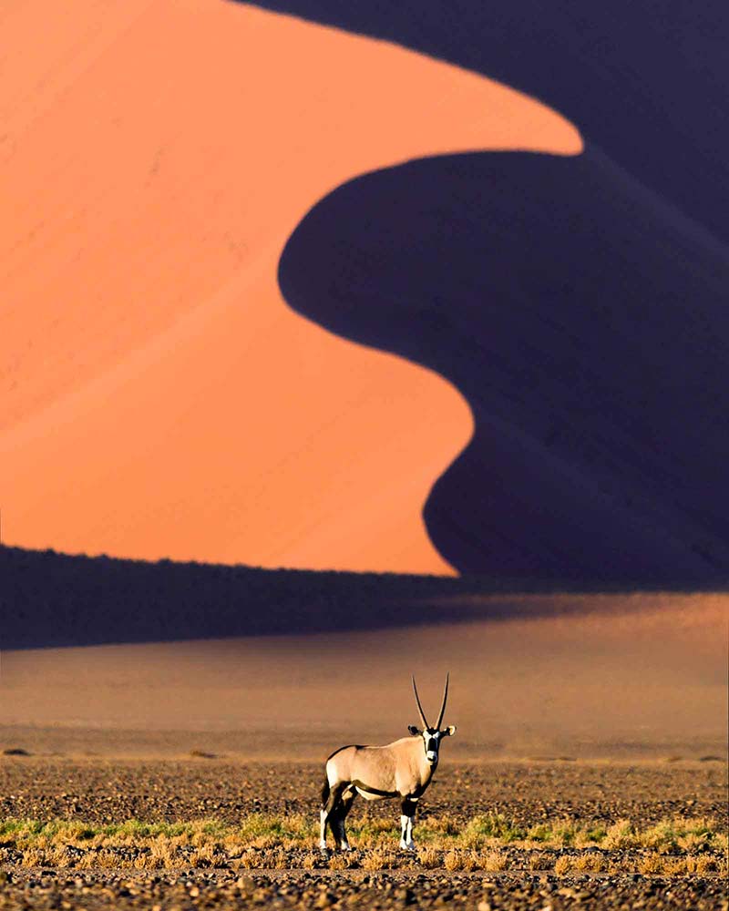 Richard Bernabe Captures: Desert Solitaire