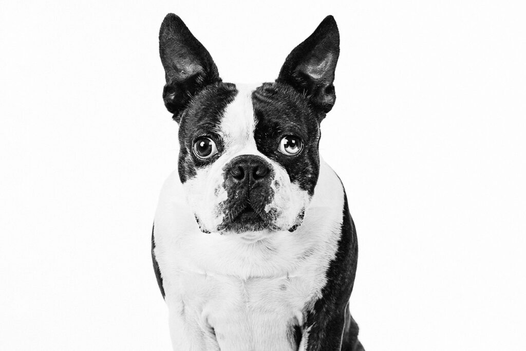 Emma O'Brien monochrome