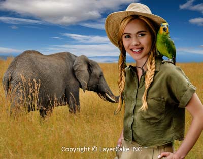 digital backgrounds for photoshop wild africa preview after