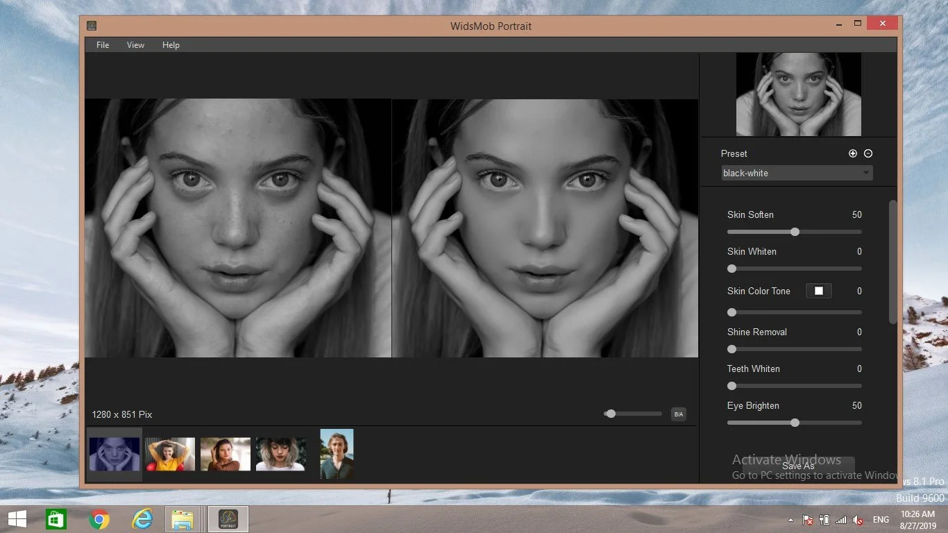 photo retouching, best portrait retouching software, portrait professional software