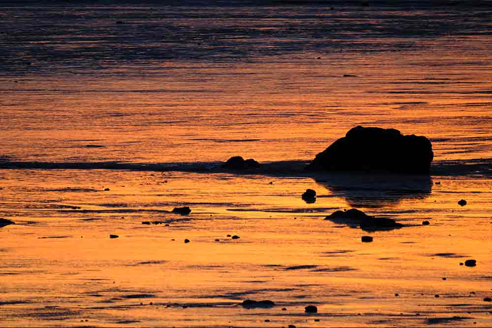 beautiful nature photography