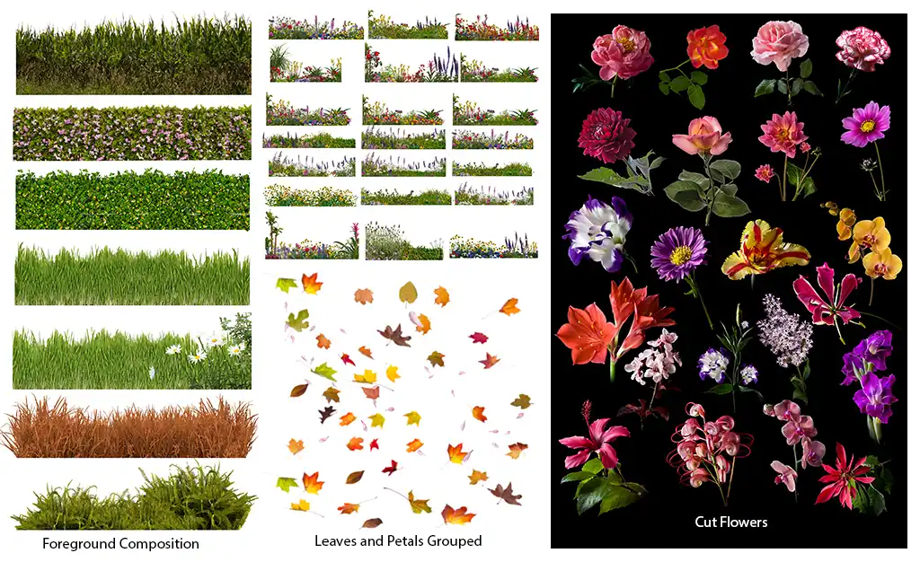 Nature Leaves background