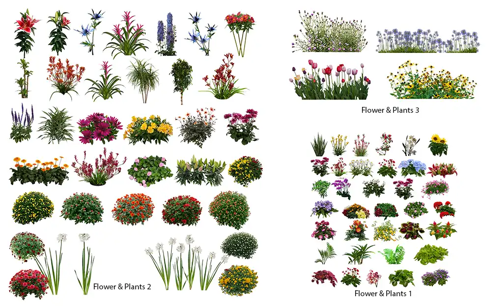 Nature backgrounds flowers