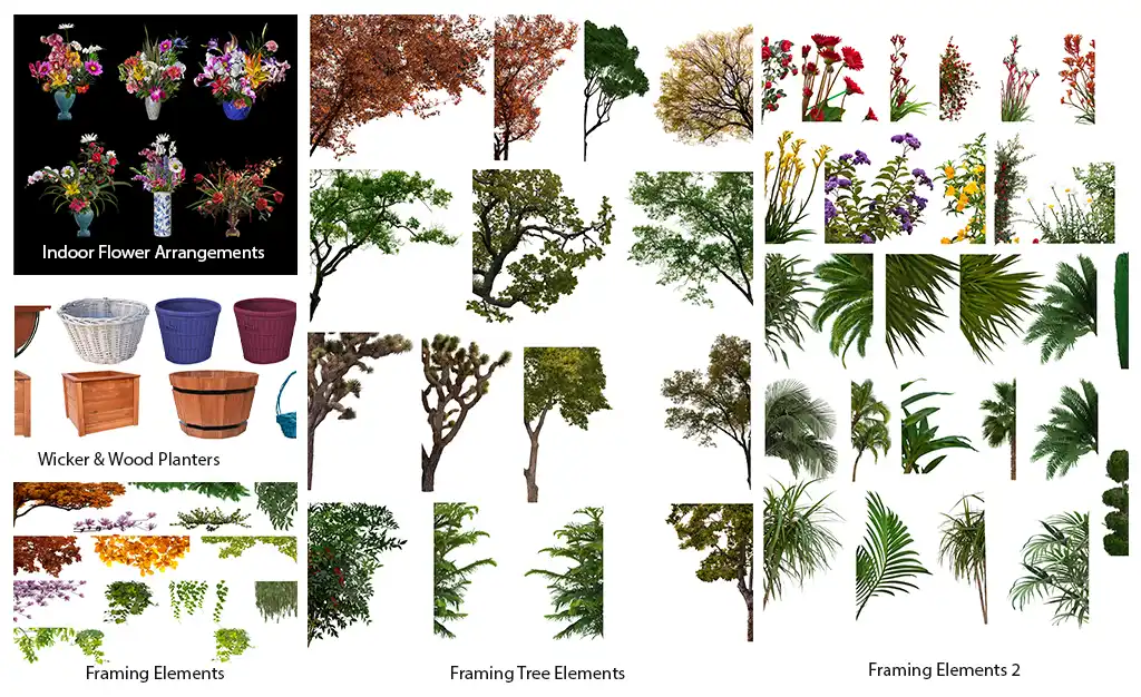 Nature flowers and plants background