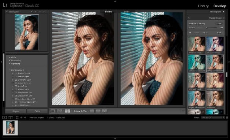 portrait luts