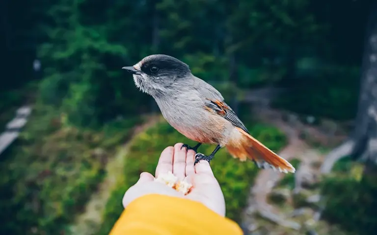 free photoshop actions for social media, cinematic photoshop actions free